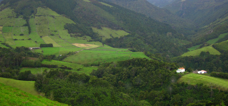 Flores Island Flores Island