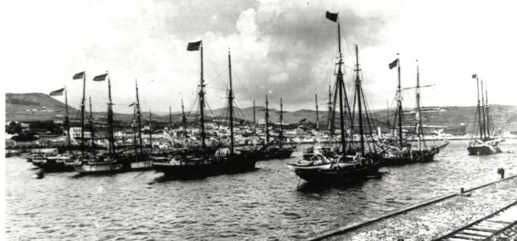 American Whaling Ships 1900, in Horta Harbour American Whaling Ships 1900, in Horta Harbour