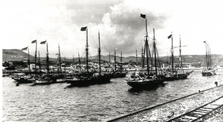 American Whaling Ships 1900, in Horta Harbour
